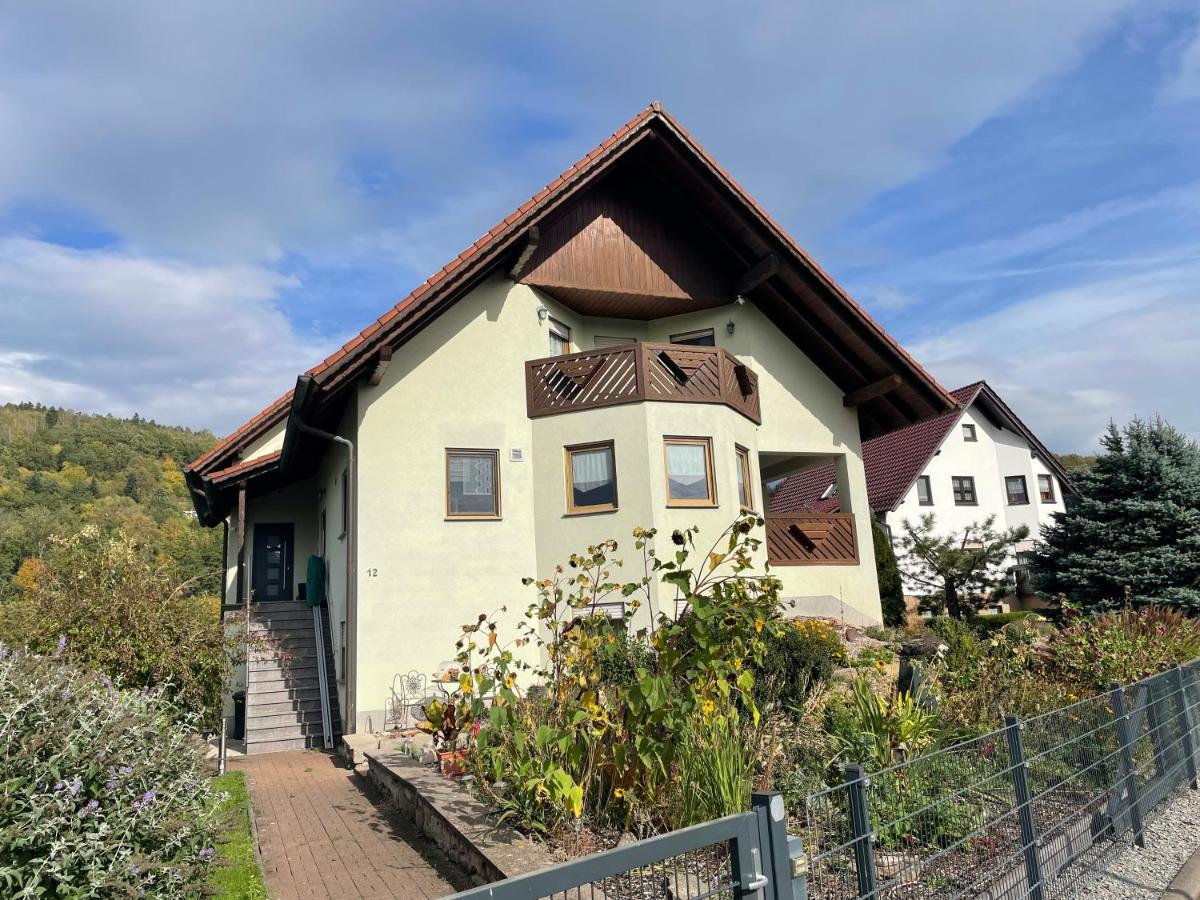 Ferienwohnung Fam.Werner Wasungen Екстер'єр фото