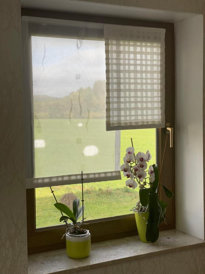 Ferienwohnung Fam.Werner Wasungen Екстер'єр фото